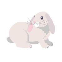 White fluffy rabbit with drooping ears. Cute Bunny for an Easter card. Design for the mid-autumn holiday. Isolated on a white background. vector