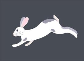 graphics of a white rabbit. The furry animal jumps, runs. Easter bunny on a gray background. vector