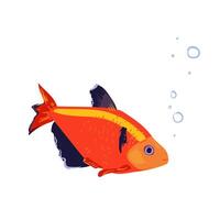 illustration of an aquarium goldfish. A pet in a flat style on a white background. vector