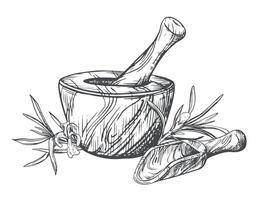Rosemary, wooden mortar for grinding herbs, measuring spoon. illustration of aromatic herbs, spices. Hand sketch in engraving technique. Separate design elements in a rustic style. vector