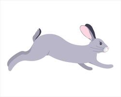 graphics of a gray rabbit. The furry animal jumps, runs. Easter bunny on a white background. vector