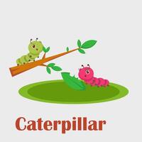 Learning alphabet C for Caterpillar vector