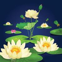 Yellow, pink Lotus flower with leaf, element Background vector