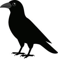 Illustration of a crow in black color isolated on a white background vector