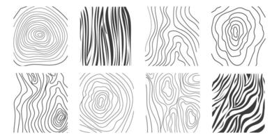 Wood texture material doodle hand drawn line. Tree trunk geometric curve and wave contour. Rings and circles. vector