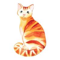 Red tabby cat with green eyes, pet, friend drawn in watercolor. Watercolor illustration. Suitable for printing on fabric, paper, for packaging of goods for animals vector
