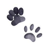 Animal footprints in black, pets, dogs and cats. All objects are hand-painted with watercolors and ioloated on a white background. Suitable for printing on fabric, for packaging design, fabric vector