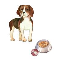 Beagle dog with a bowl filled with food and a ball for playing. All objects are hand-drawn with watercolors. Suitable for printing on fabric, paper, for cards, invitations and posters vector