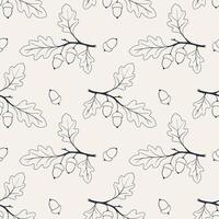 Pattern acorn oak branch, contour drawing oak on beige background. vector