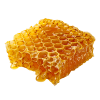 A piece of fresh honeycomb with a glossy surface isolated on a transparent background png