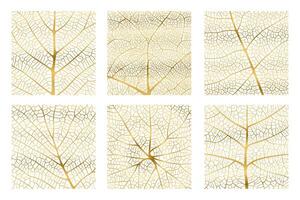 Leaf vein texture abstract background with close up plant leaf cells ornament texture pattern. vector