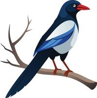 A art magpie bird sitting on tree branch vector