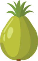 A vibrant tropical fruit in format, featuring exotic colors and lively details, perfect for adding a refreshing and tropical touch to any digital project or design. png