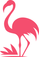 een verbijsterend flamingo in formaat, met elegant lijnen en levendig kleuren, perfect voor toevoegen een tintje van tropisch charme en verfijning naar ieder digitaal project of ontwerp png