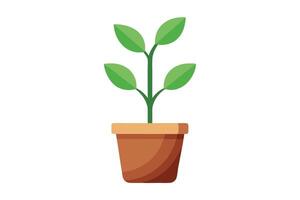art of small plant on white background vector