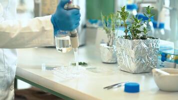 testing a plant sample in a biochemical science laboratory. a scientist studies the genetics of plants video
