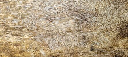 light wood texture background, rustic photo
