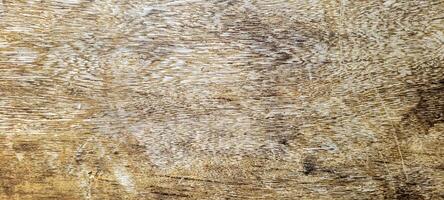 light wood texture background, rustic photo
