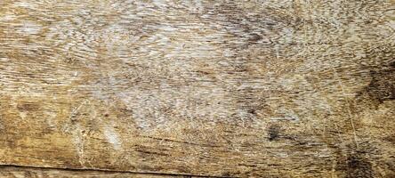 light wood texture background, rustic photo