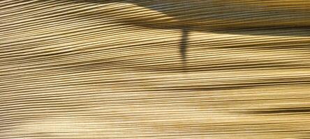 beige abstract background with texture photo