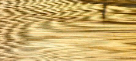 beige abstract background with texture photo