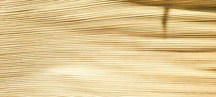 beige abstract background with texture photo