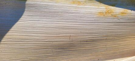 beige abstract background with texture photo
