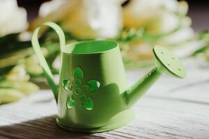 Garden watering can on the background of flowers and wooden figured boards. photo
