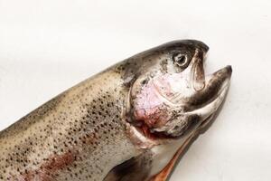 Fish red river trout, cleaning the scales, home cooking photo