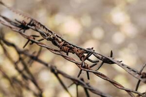 Barbed rusty wire on a metal fencecloseup, blurry autumn background photo