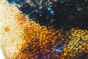 Texture of brown broken glass, close-up photo