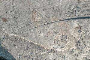 The texture of the gray plaster is textured close-up photo