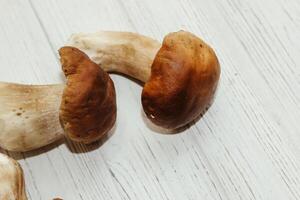 Boletus edulis on a table made of white boards preparation for eating photo