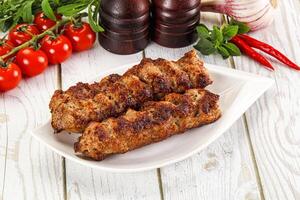 Chicken kebab minced meat and spices photo