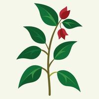 First buds of roses in early spring. vector