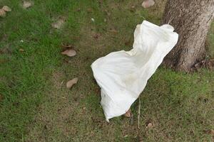 Above view of white sack containing something inside. Laying under a big tree on the green grass. photo