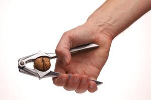 The nutcracker in a hand splits a walnut photo