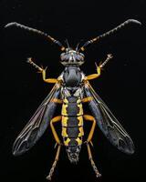 High-Resolution Close-Up Images of Various Insects on Black Background photo