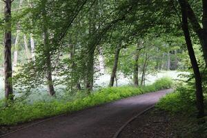 photo with a bright path