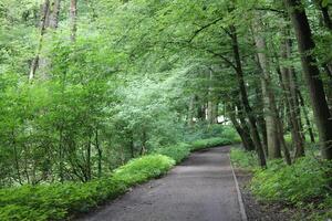 photo with a bright path