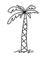 Doodle palm tree illustration in . Hand drawn palm tree icon. Illustration isolated on white background vector