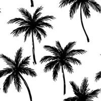 Black and white seamless pattern with palm tree. Tropical background. vector