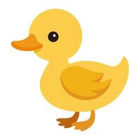 duckling, cute bird isolated on white background flat style illustration vector
