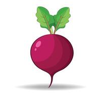 Beetroot A Nutrient-Rich, Vibrant, and Health-Boosting Root Vegetable vector