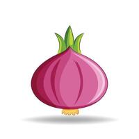 The Flavorful Onion A Nutritious Bulb Rich in Vitamins, Minerals, and Antioxidants vector