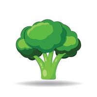 Broccoli Nutritious and Delicious Green Vegetable vector