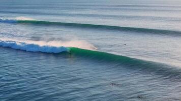 Drone view with surfing on ideal swell wave. Perfect waves with surfers in ocean at Bali video