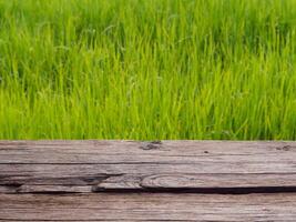 Old wooden planks at rice field, rustic vintage background photo