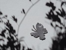 Silver painted cardboard butterfly on white wall and tree silhouette for copy space, nature and environment concept. photo