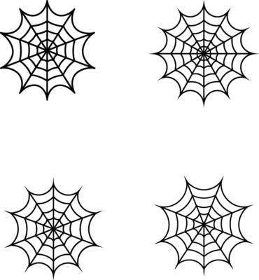 Spider web line art illustration